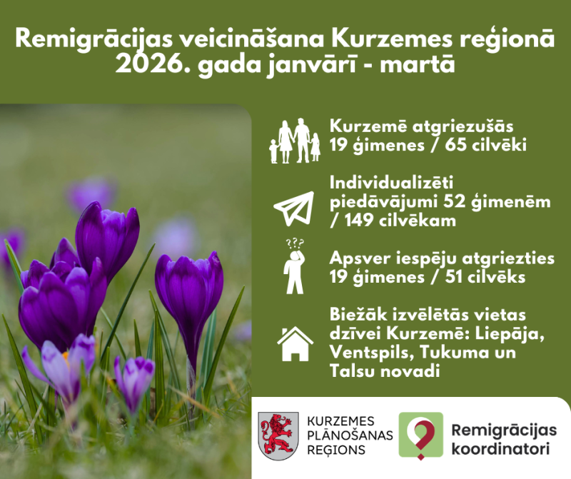 uz zaļa fona ir redzami ziedoši lillā krokusi un attēlota statistikas infografika