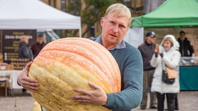 Armīns Kleinbergs (Kurzeme)