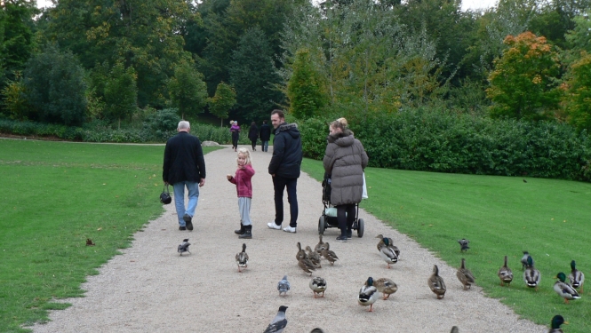 Cilvēki pastaigājas pa parka celiņu, kamēr apkārt pulcējas pīles; priekšplānā redzamas vairākas pīles, bet fonā – ģimene ar bērnu un ratiņiem zaļā, koku ieskautā vidē