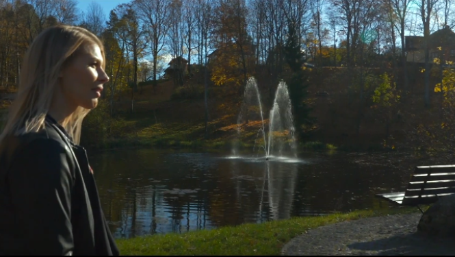 Egija (Smiltenes novads, Vidzeme)