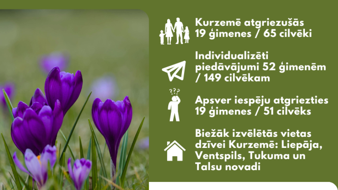 uz zaļa fona ir redzami ziedoši lillā krokusi un attēlota statistikas infografika